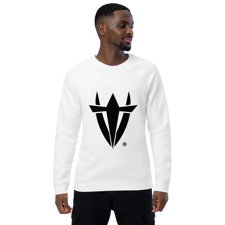 Harvest V Raglan Sweatshirt5 product image (1)