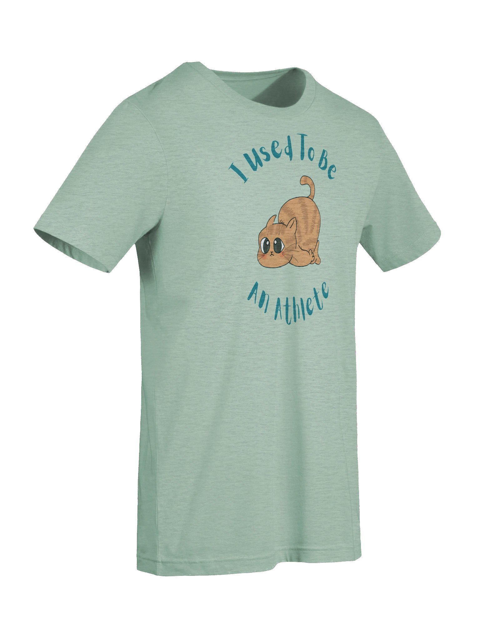 Chubby Cat Confession Tee product image (9)