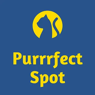 Purrrfect Spot