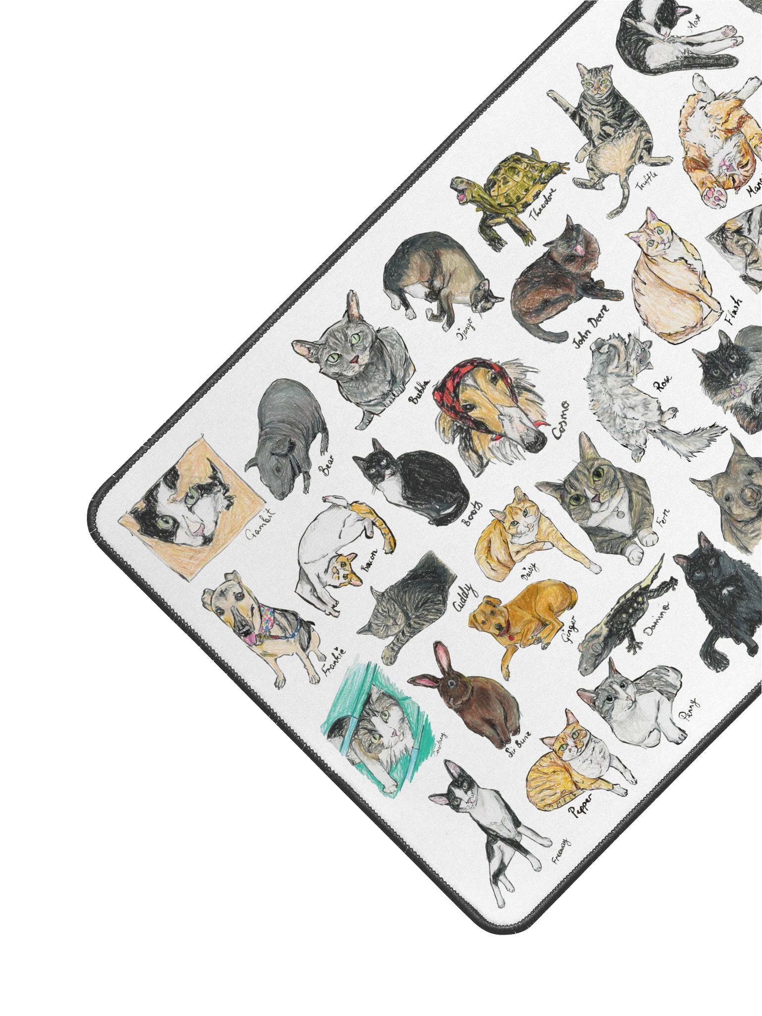Scriggly pet desk mat product image (3)