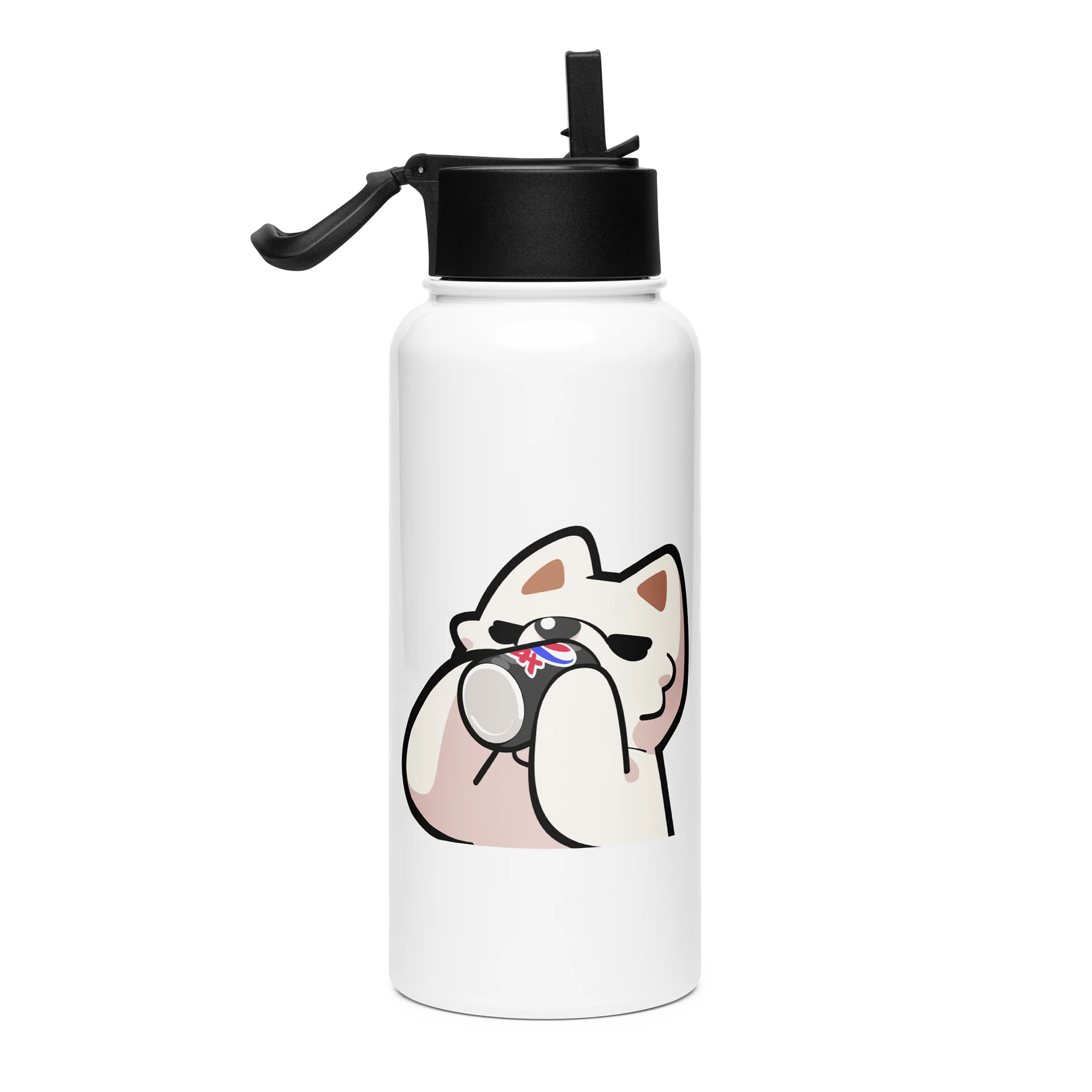Sip Stainless Steel Water Bottle with a Straw product image (4)