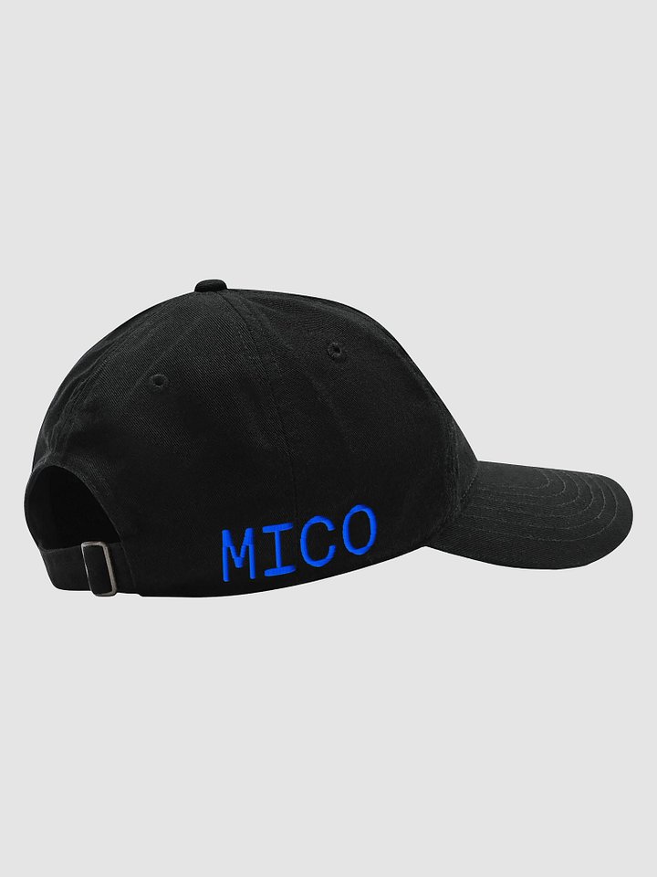 'HOMESICK' hat product image (2)