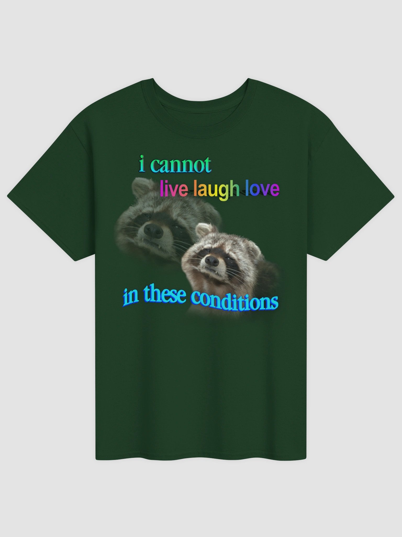 I cannot live laugh love in these conditions - raccoon T-shirt product image (2)