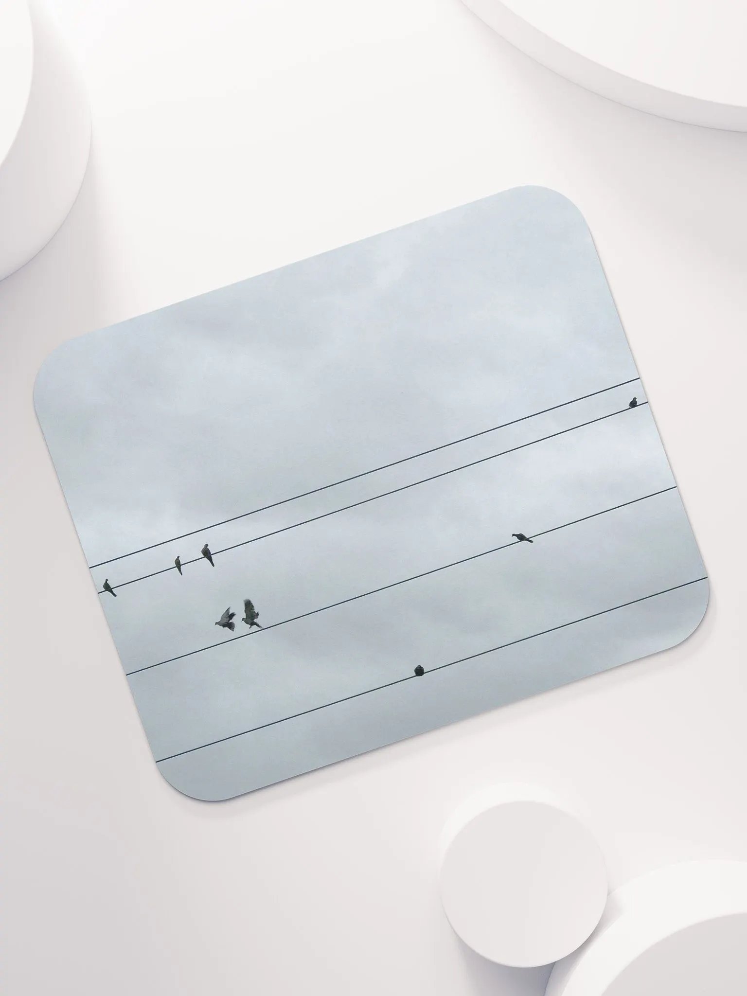 Bird Power product image (7)