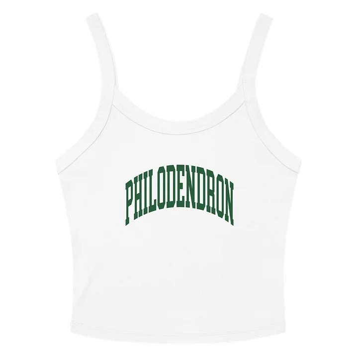 PHILODENDRON VARSITY - Mid-Length Tank product image (6)