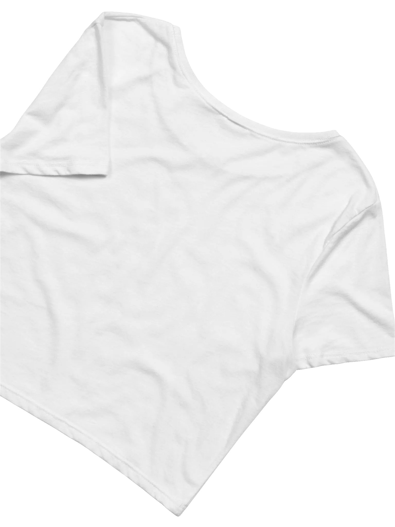 Heeee Yaw Crop Top - Blue product image (4)