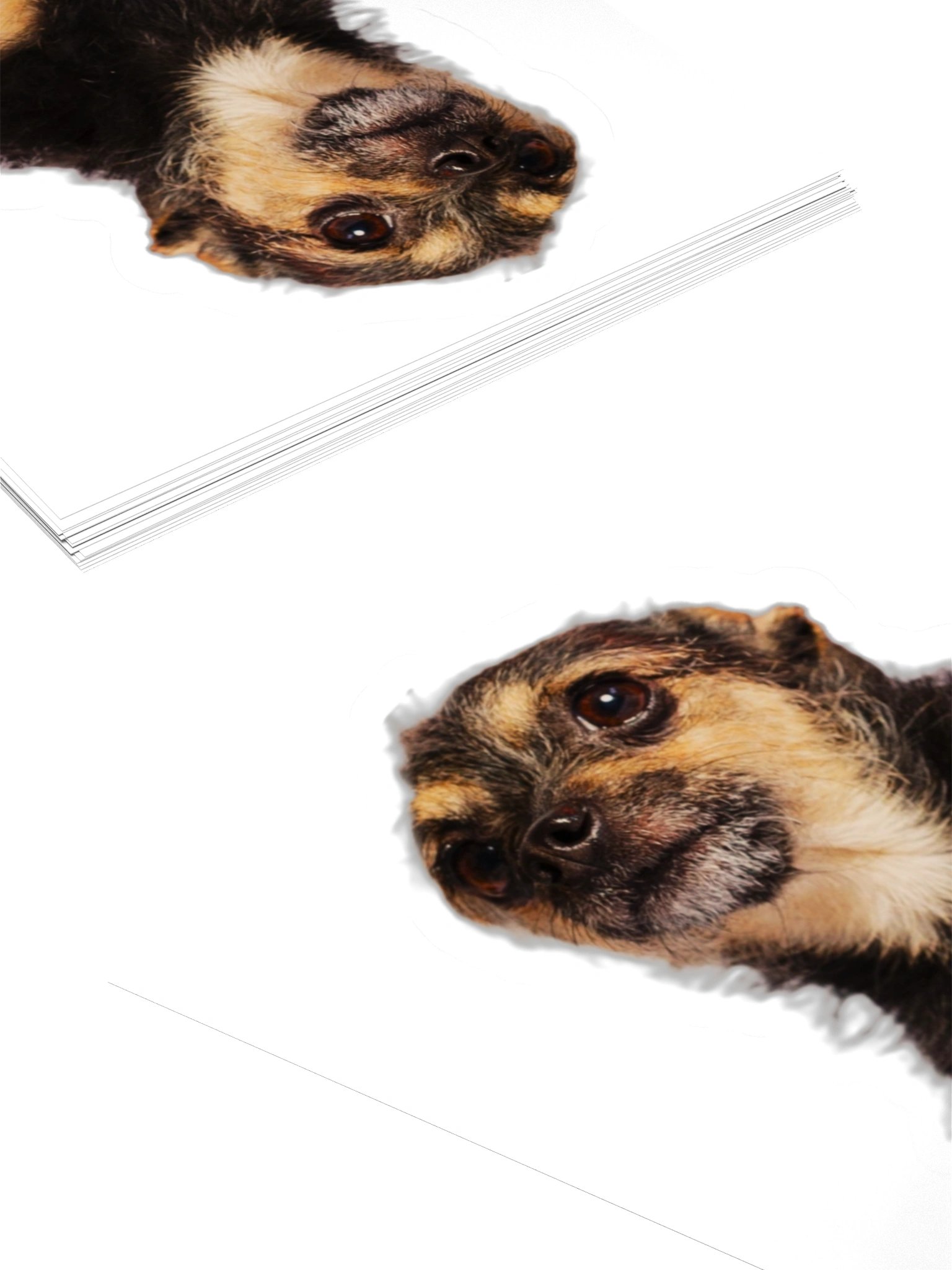 Phillip the Small Sticker No. 2 product image (8)