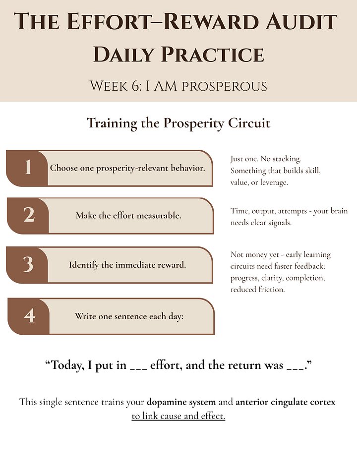 Effort-Reward Audit product image (1)