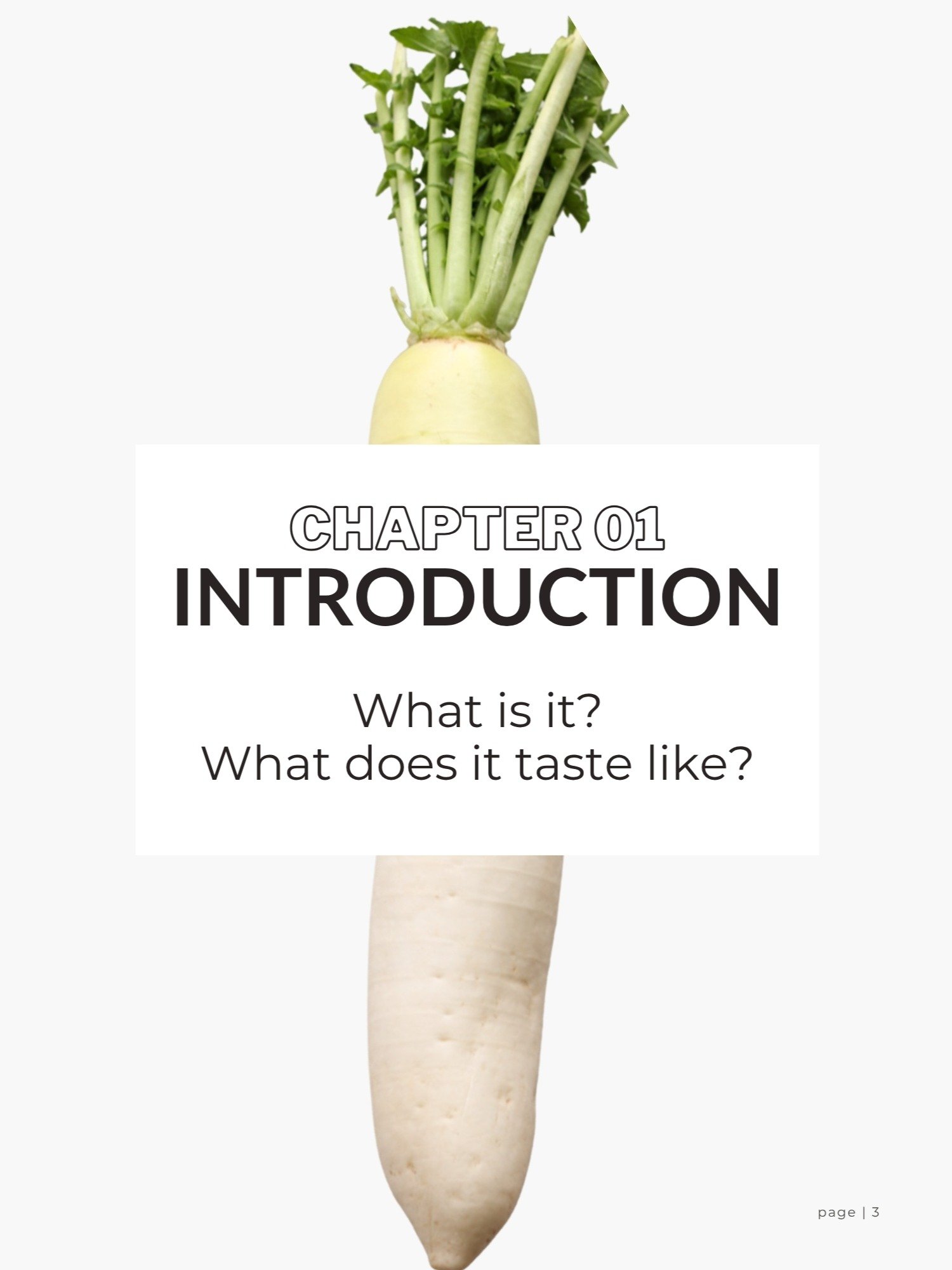 [eBook] Cooking With Daikon - Your Ultimate Guide! product image (3)