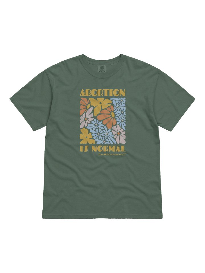 Abortion is Normal (100% Cotton) product image (1)