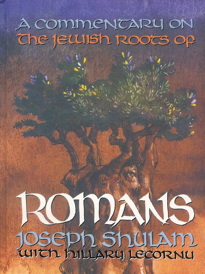 Limited Quantity of 5 : Collector’s Item — First Edition — Out of Print — A Commentary on the Jewish Roots of Romans by Joseph Shulam (Lederer Edition) product image (1)