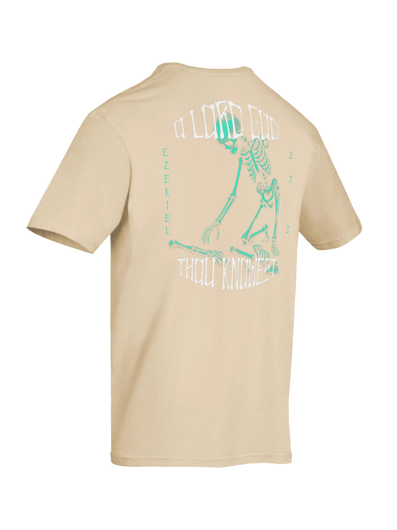 Son of Man, Can These Bones Live T-Shirt product image (78)