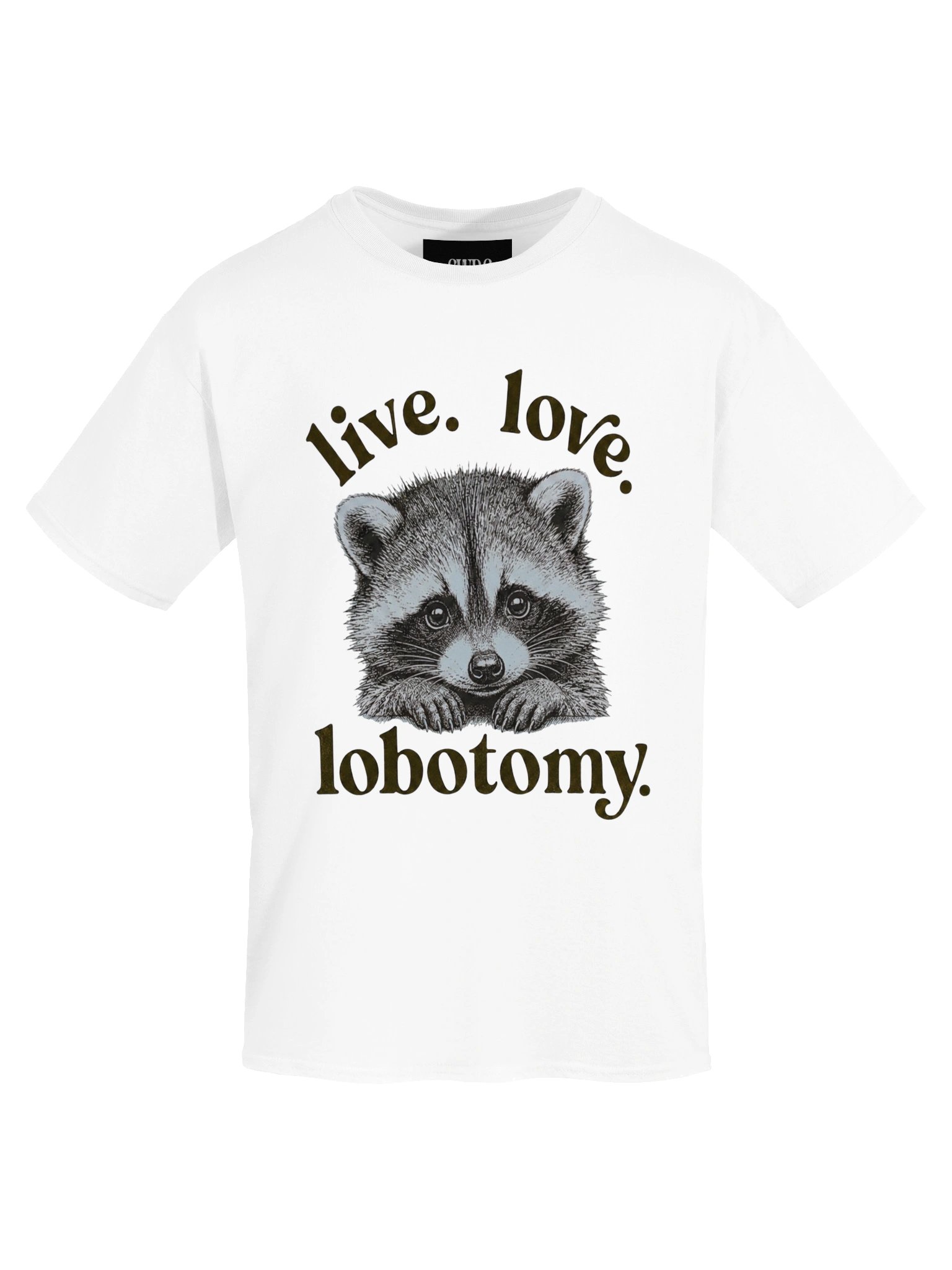 Live.Love.Lobotomy. product image (79)