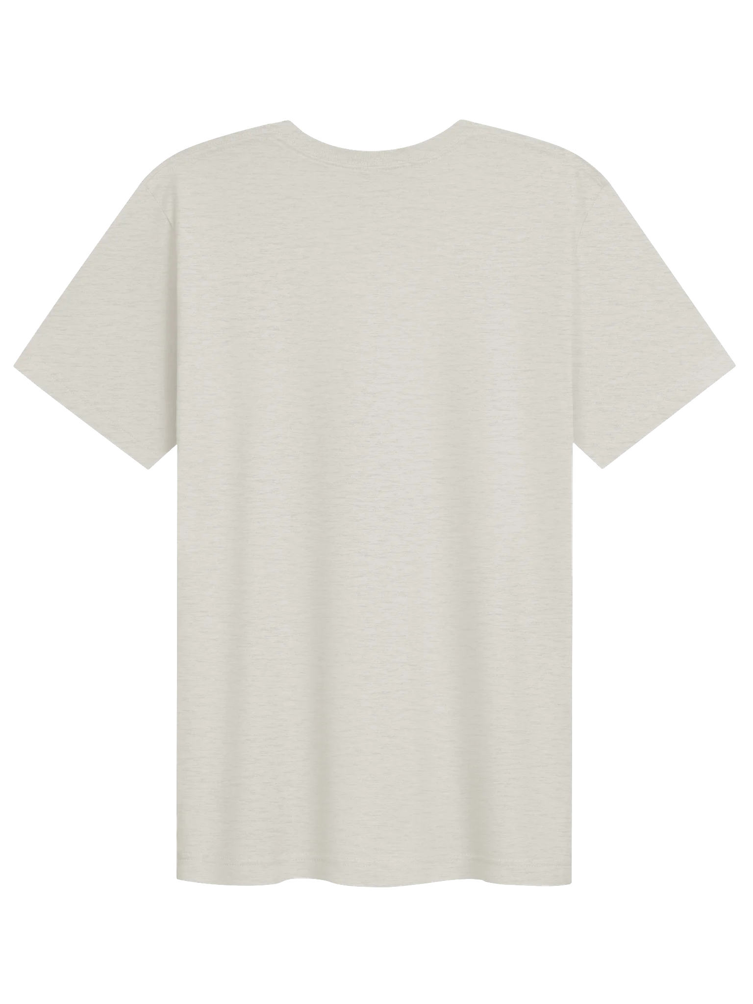 Chillin’ With My Chill Buddy T-Shirt | Smilo & Capybara product image (8)