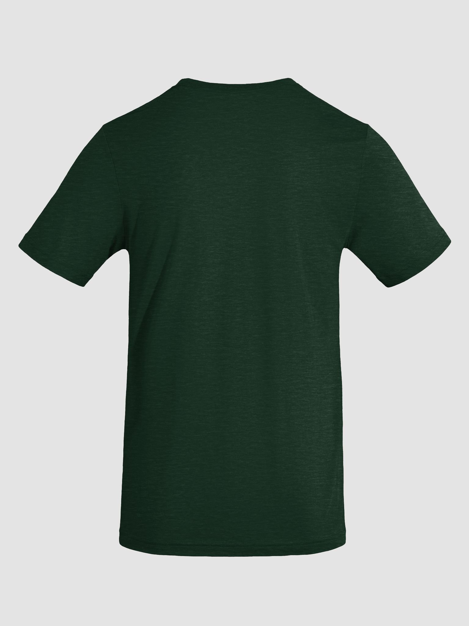 Dragon's Blaze Tri-Blend Tee product image (4)