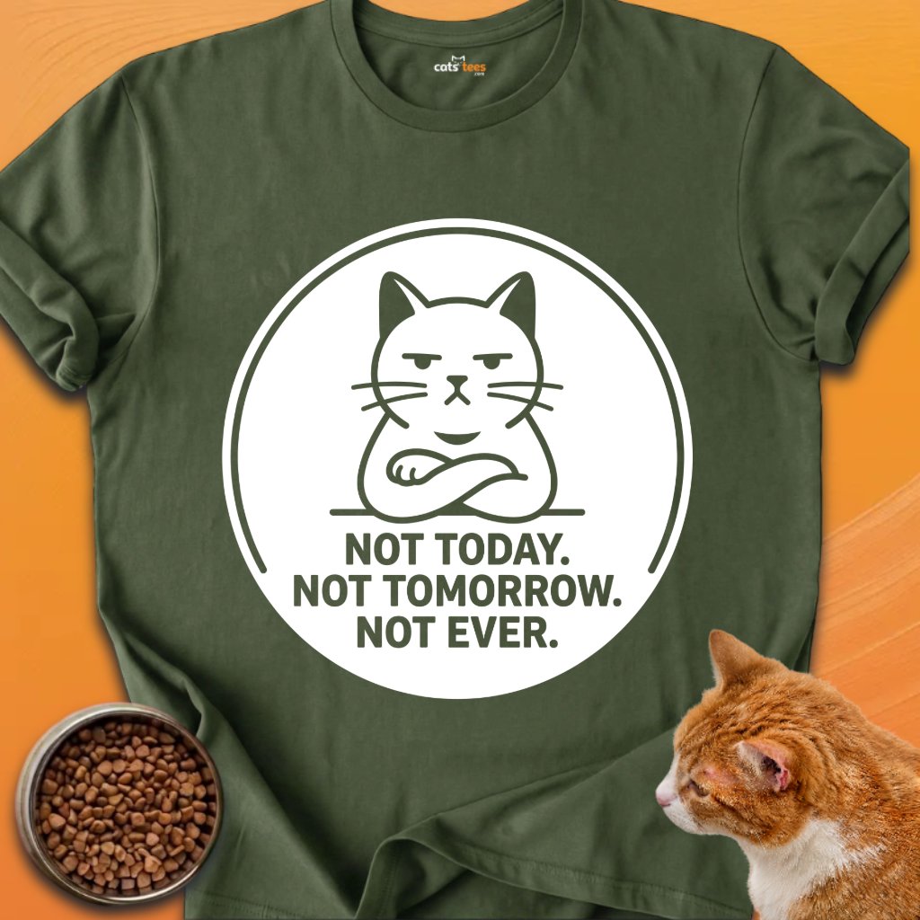 Not Today Not Tomorrow product image (17)
