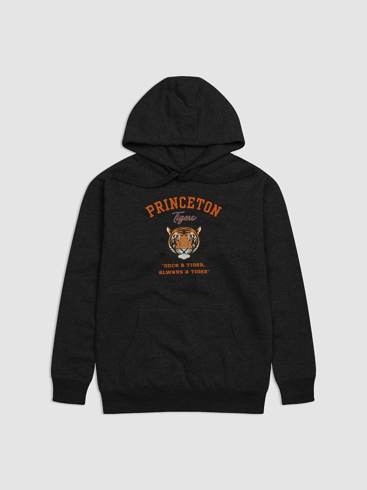 Princeton University Hoodie product image (1)