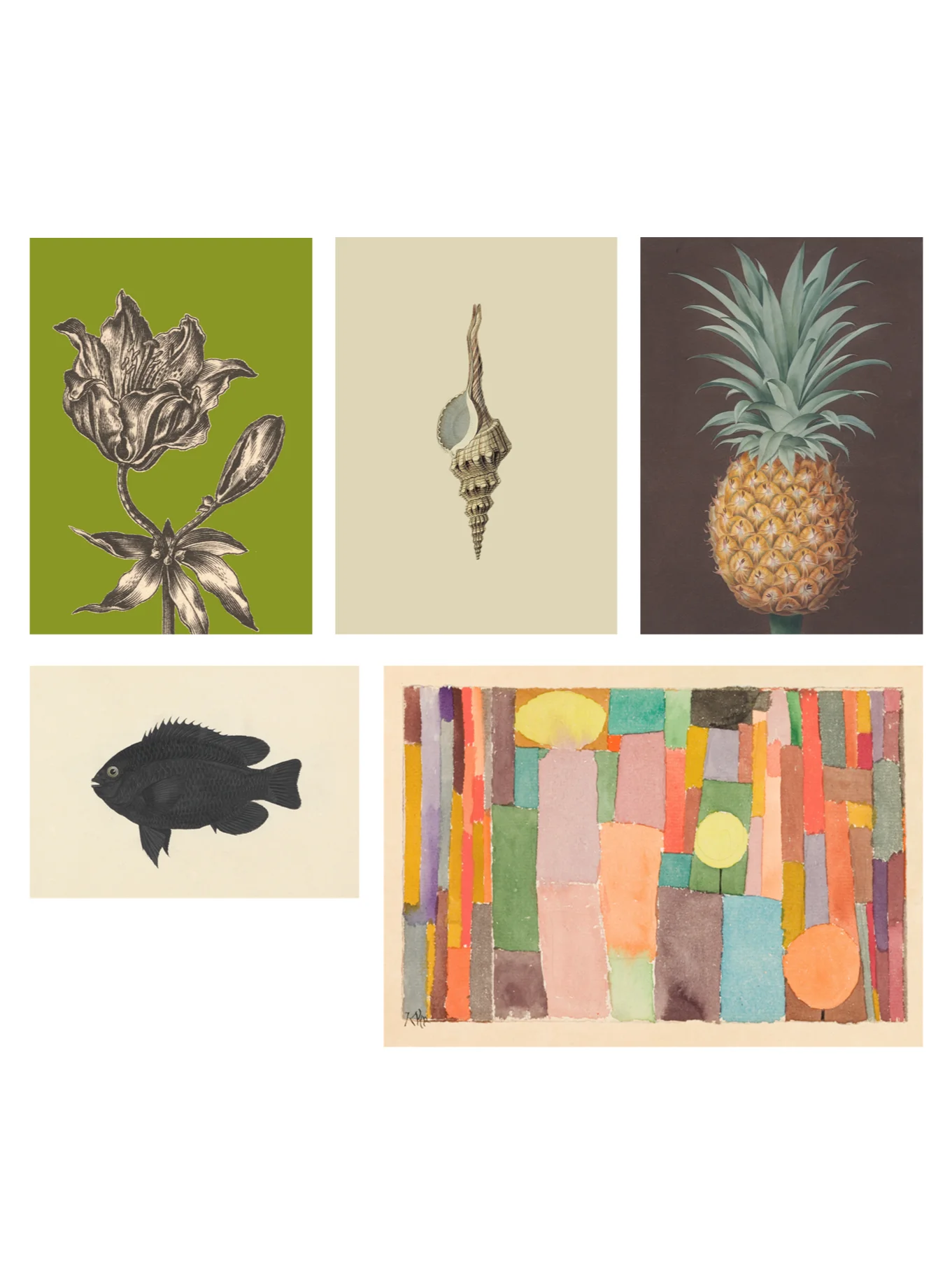 Scientific illustrations and a Modern Master product image (3)