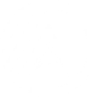 Digital Ascent Merch Shop