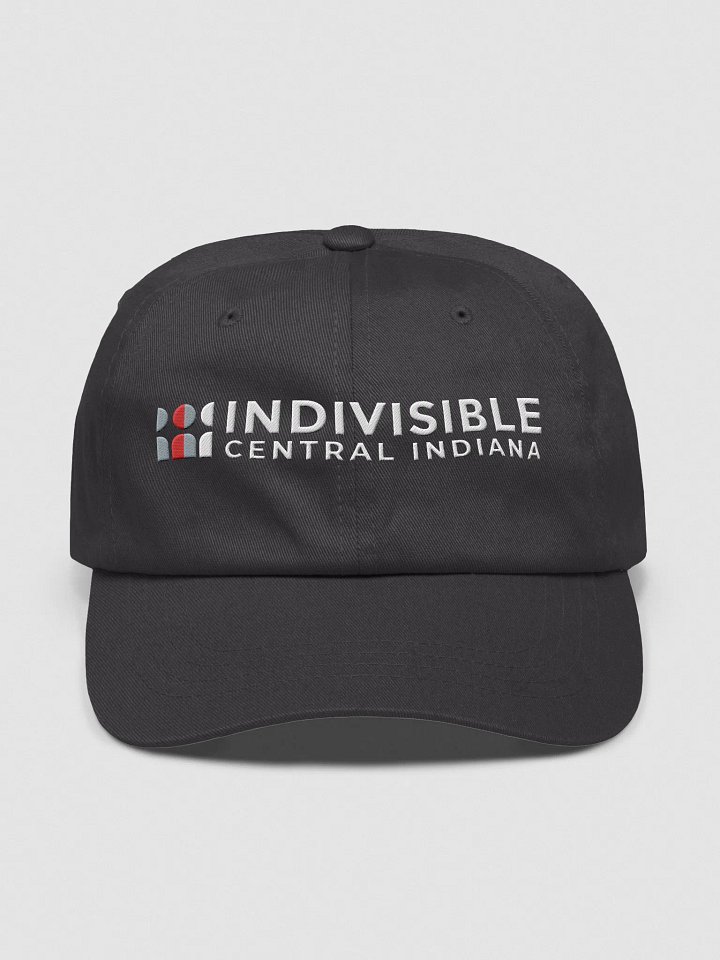 Indivisible CI Grey Hat product image (1)