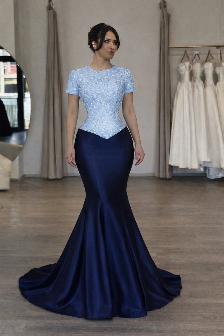 Luxury dress product image (2)