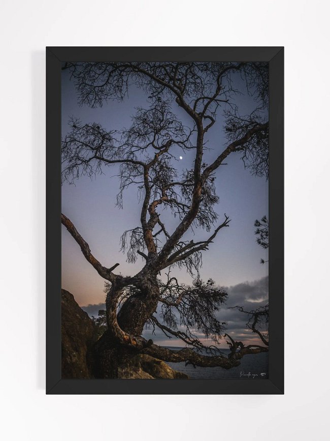 PRINT FINE ART - SEA