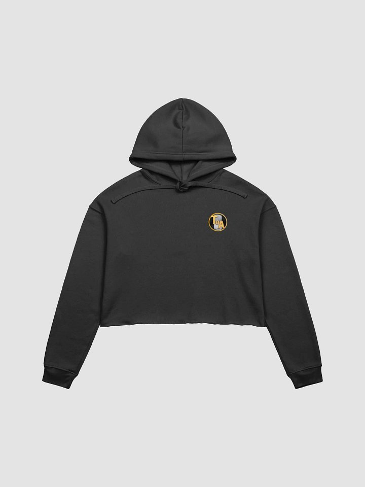 Tournament of Ages - Small Logo - Crop Hoodie product image (1)