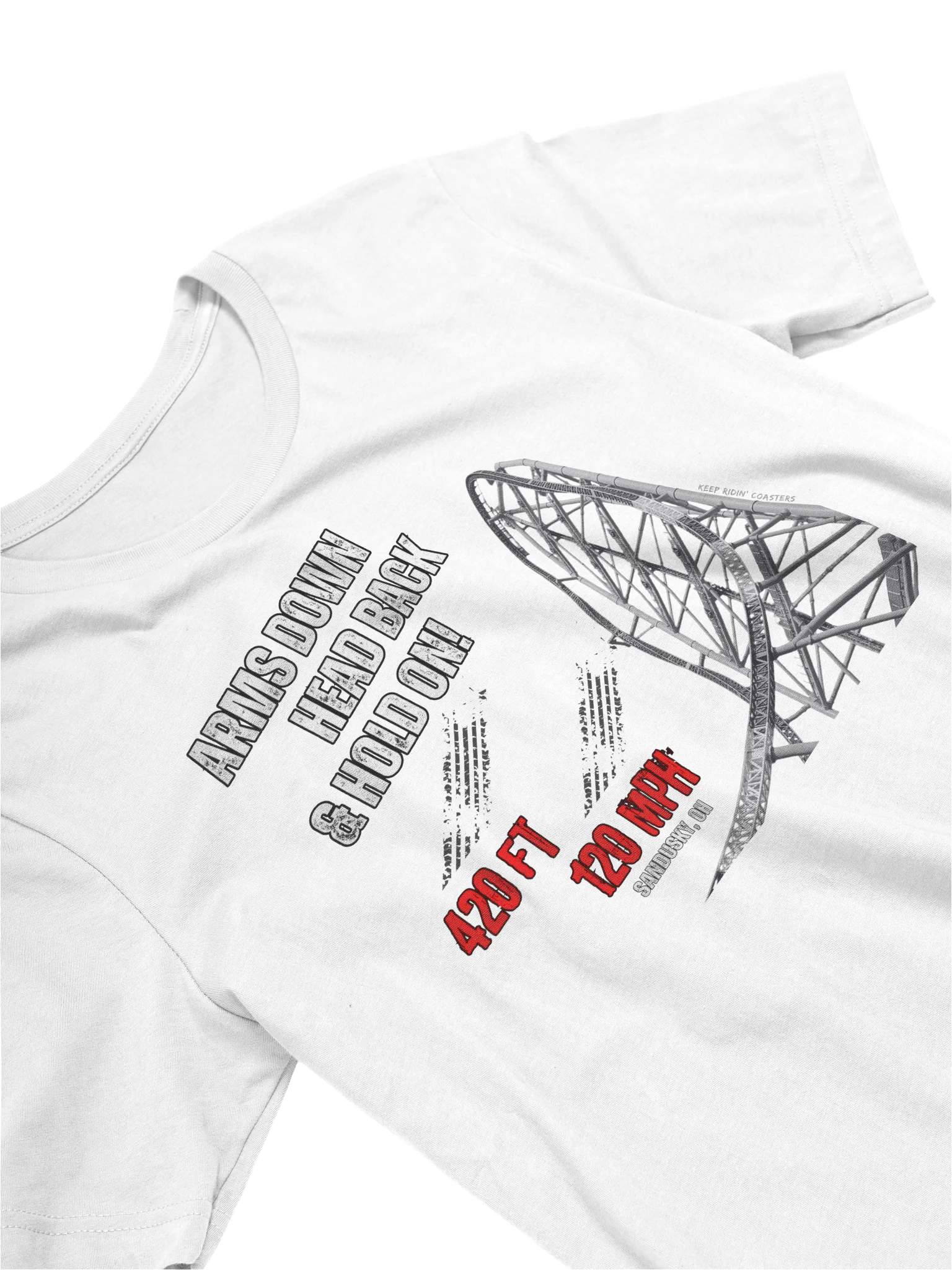 Arms Down, Head Back & Hold On - 420/120 Tee product image (14)