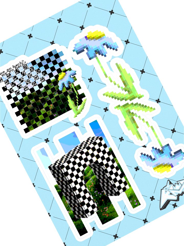 Can we go back? product image (1)