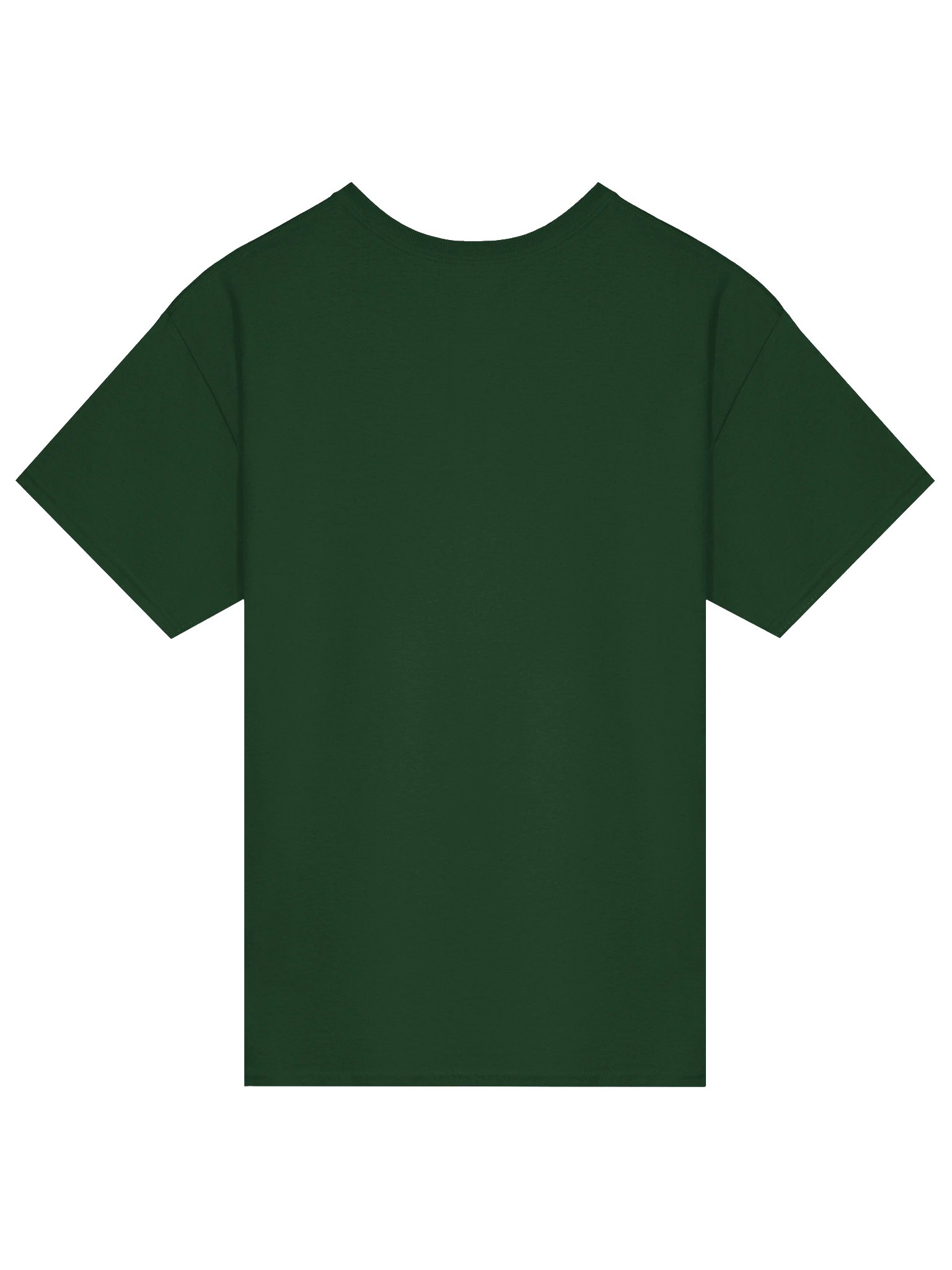 AppalShirt (POP105) product image (4)