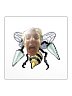 beschdrill sticker