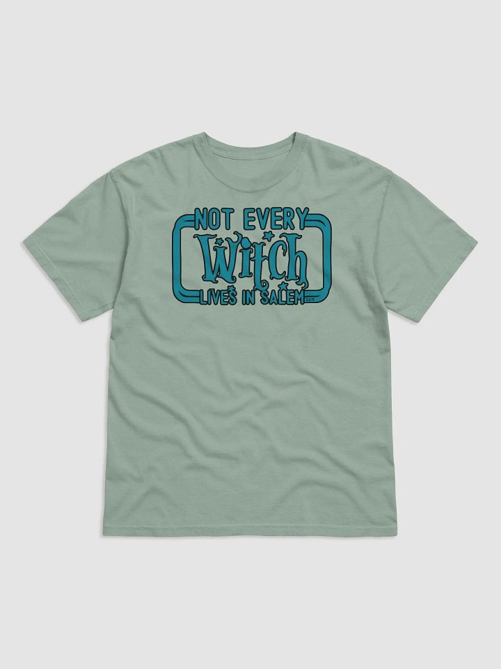 NOT EVERY WITCH LIVES IN SALEM product image (10)