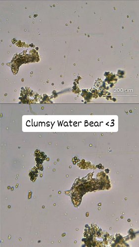 Exploring the hidden details of the microscopic world - let's see what creatures can dwell within a droplet of water.
🔬 Under...