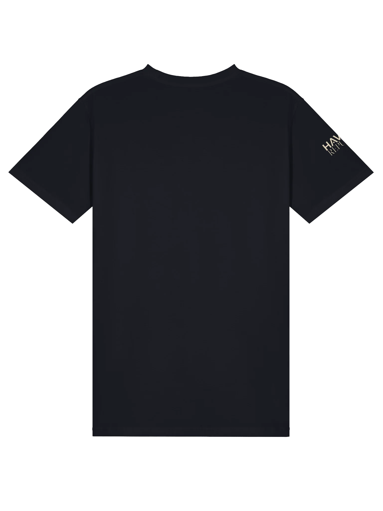 One Flag, Every American Tee product image (2)