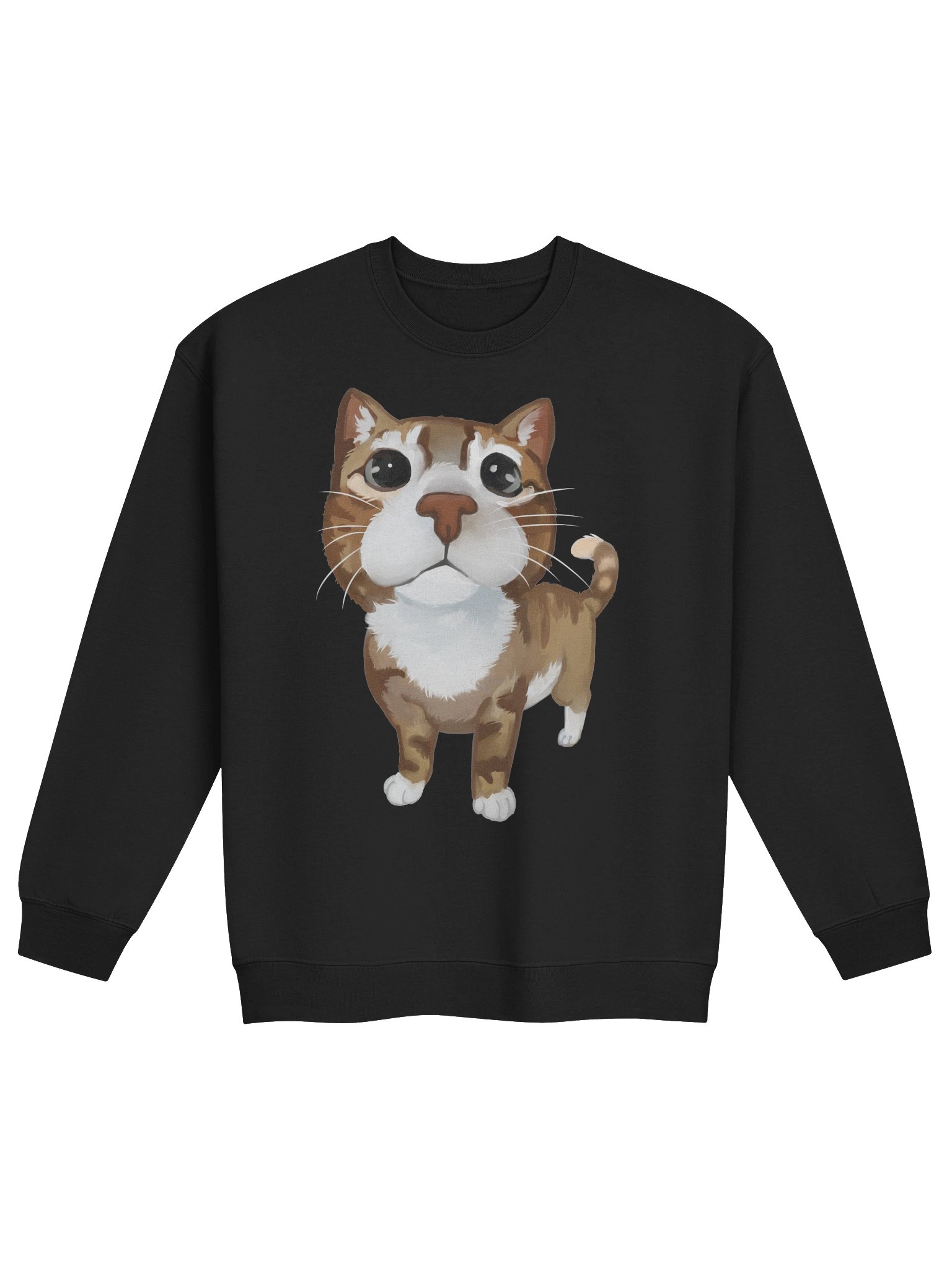 cat product image (4)