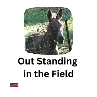 Out Standing in the Field