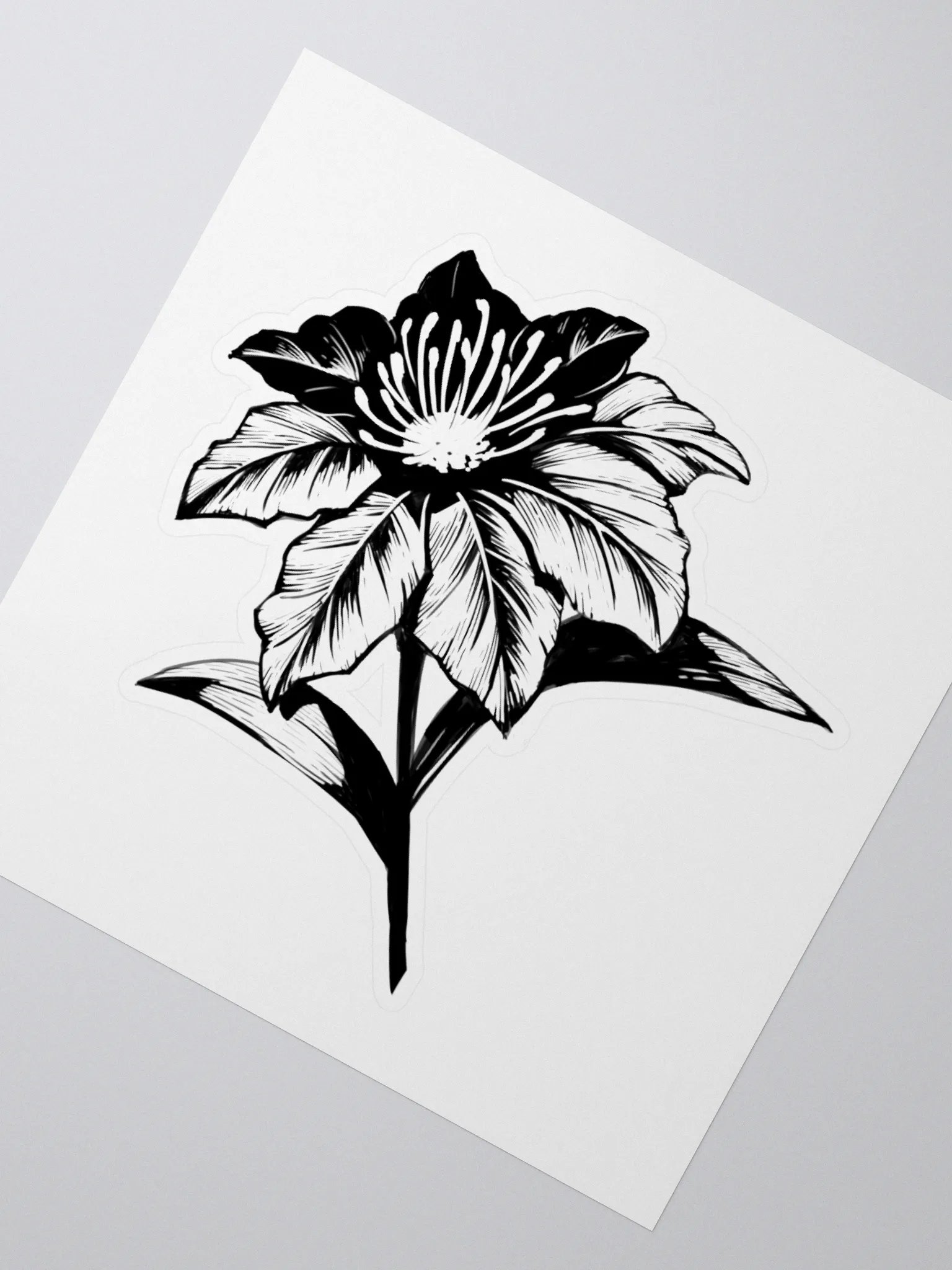 Sticker - Fayne PDV product image (4)