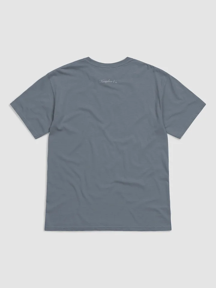 Boldness is Your Birthright Coastal Tee product image (2)