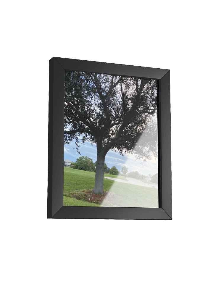 Tree of Life (poster) product image (4)