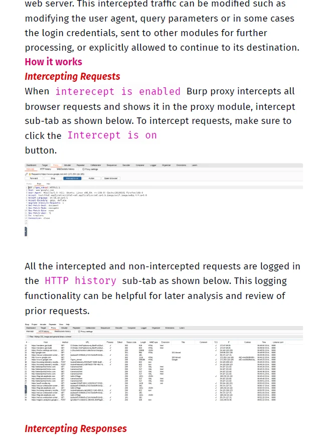 Burp Suite Notes | BSCP notes product image (2)