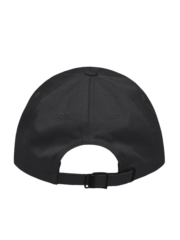 IANTD. DAD HAT. product image (2)