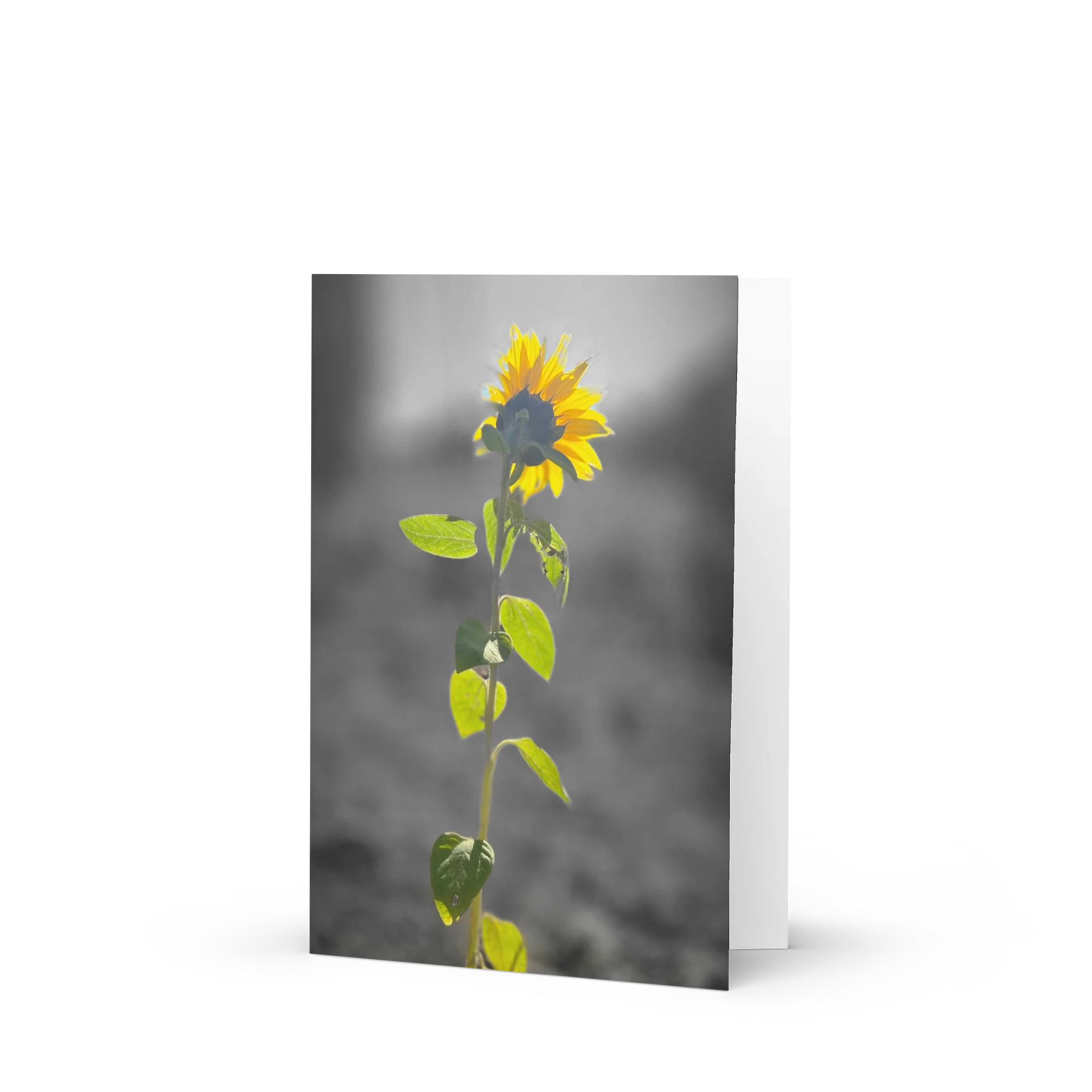 Sunflower Greeting Card product image (1)