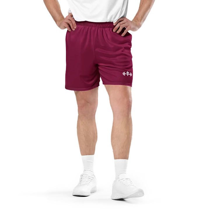 His House Mens Performance Mesh Shorts - Maroon product image (1)