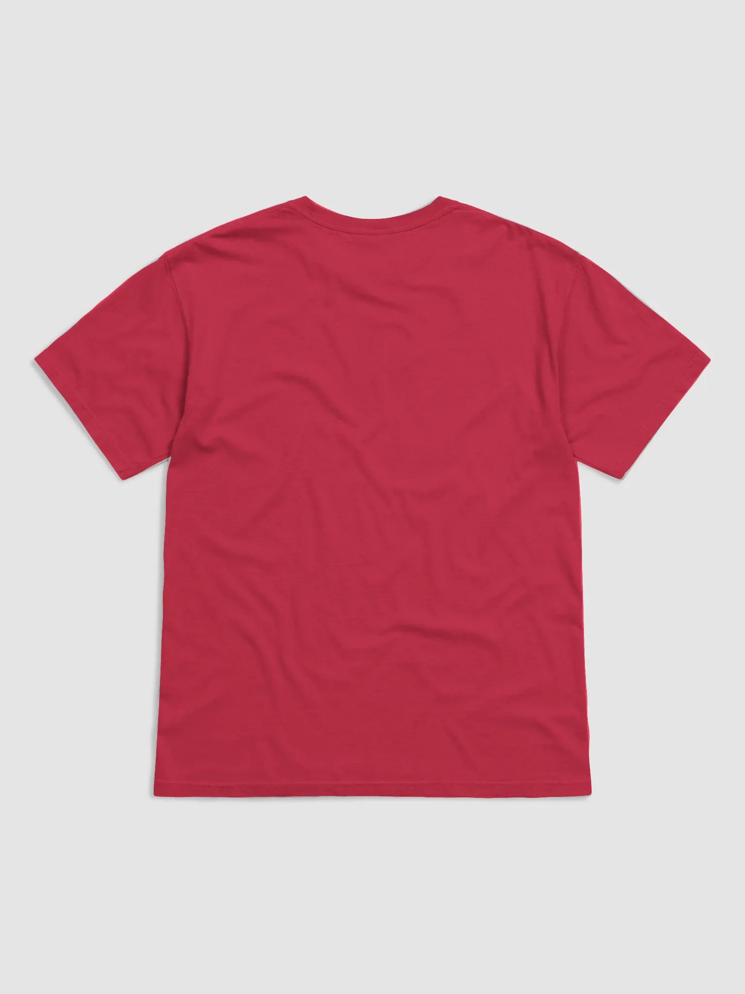 Stand up SJ T product image (2)