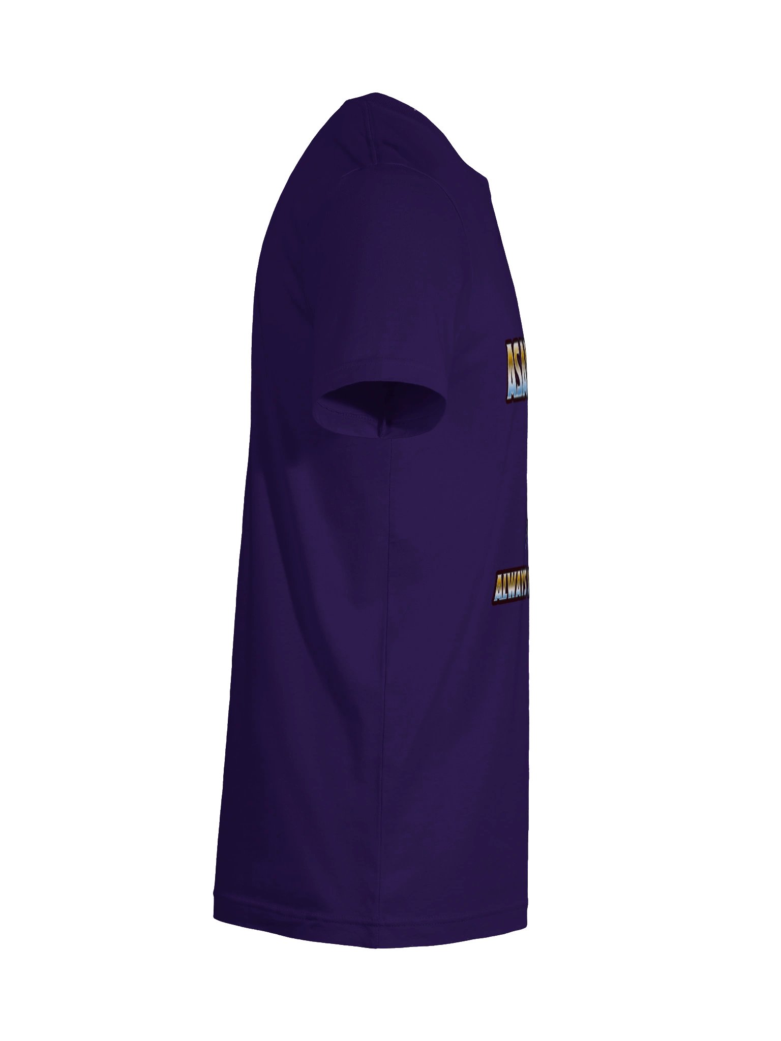 ASAP - Always Send a Paladin Tee ( Supersoft ) product image (133)
