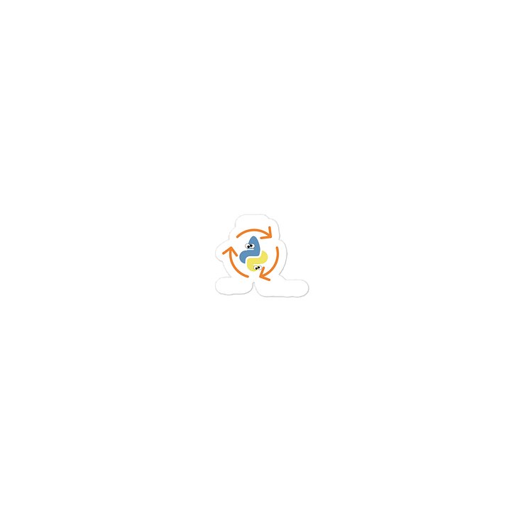 Python Loop product image (1)