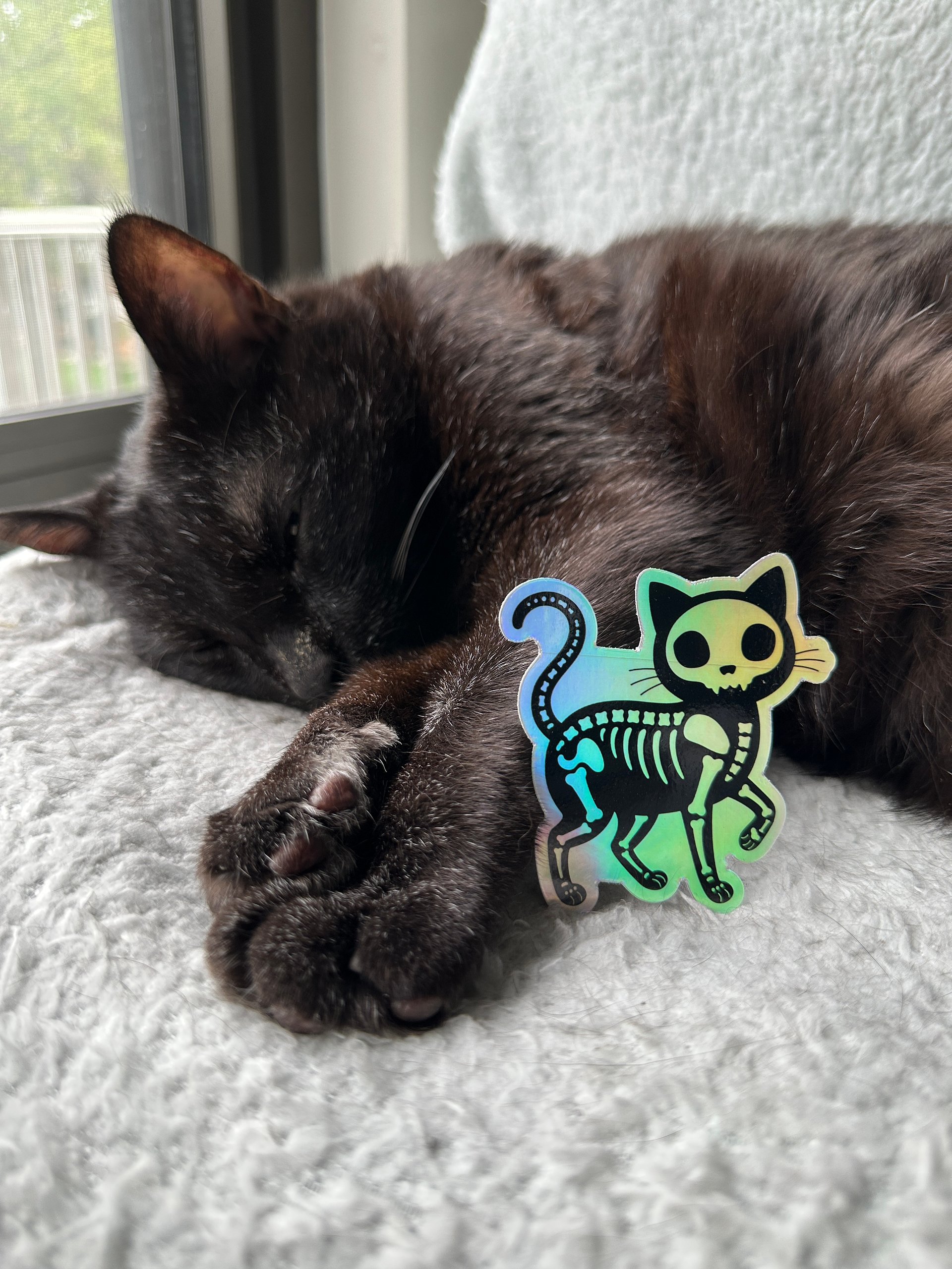 Holographic skelly cat sticker product image (2)