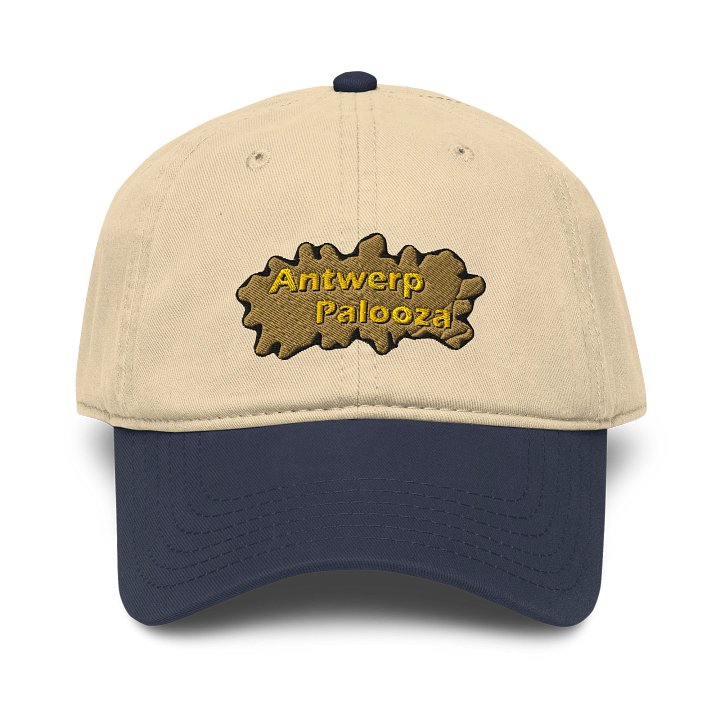 Embroided - Antwerp Palooza Cap product image (1)