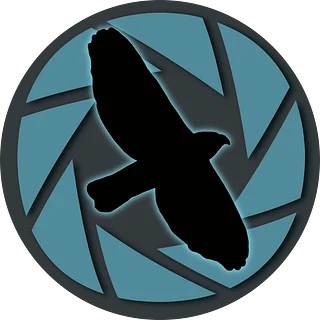 Hawk In The Lens
