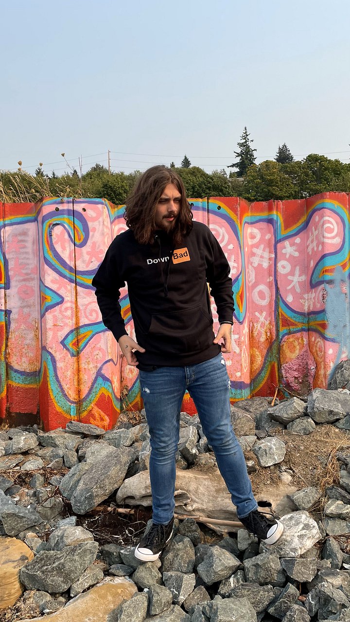 Down Bad Hoodie product image (1)